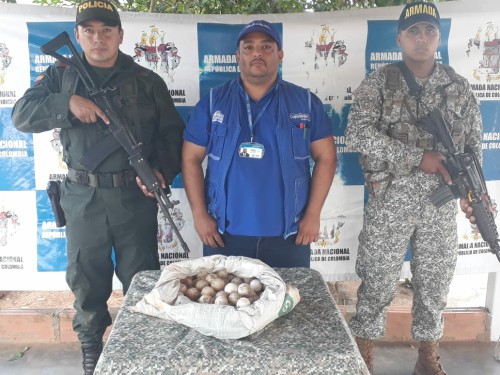  Controles al tráfico de especies en Vichada permiten recuperar 232 huevos de tortuga charapa
