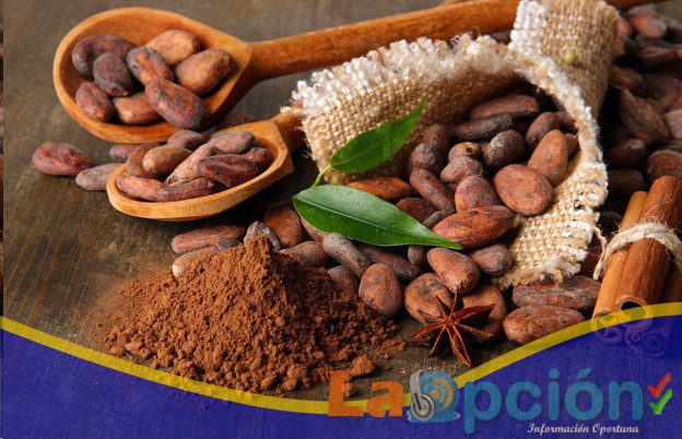 Cacao arauquiteño alista su participación en el salón de Chocolate de París