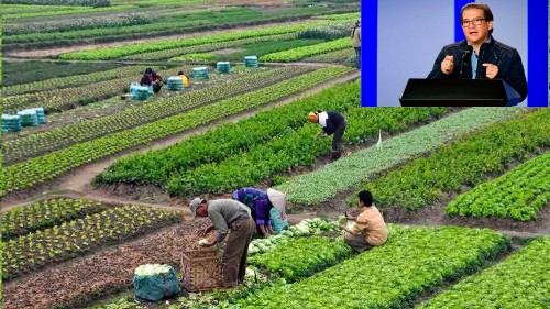  Debemos perder el miedo a lo virtual y lograr que los agricultores comercialicen sus productos por los medios digitales: Ministro de Agricultura
