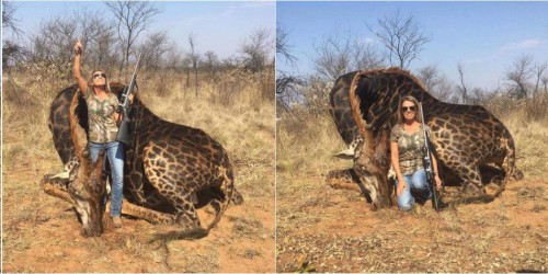  Mujer mató a jirafa y posó orgullosa en redes con el corazón del animal