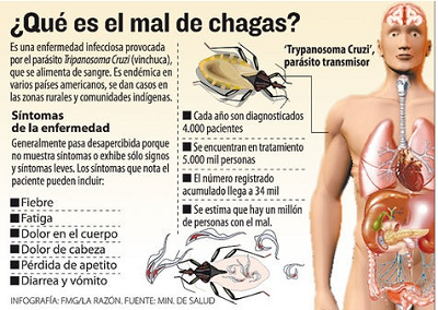  Se realizará el estudio investigativo de la enfermedad del chagas en Tame